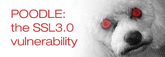 Poodle, la vulenrabilidad sobre SSL 3.0 Poodle, la vulenrabilidad sobre SSL 3.0